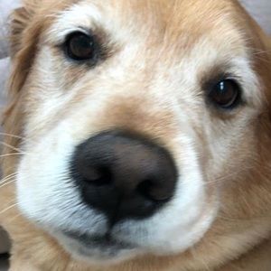 Meet your Posher, Matt